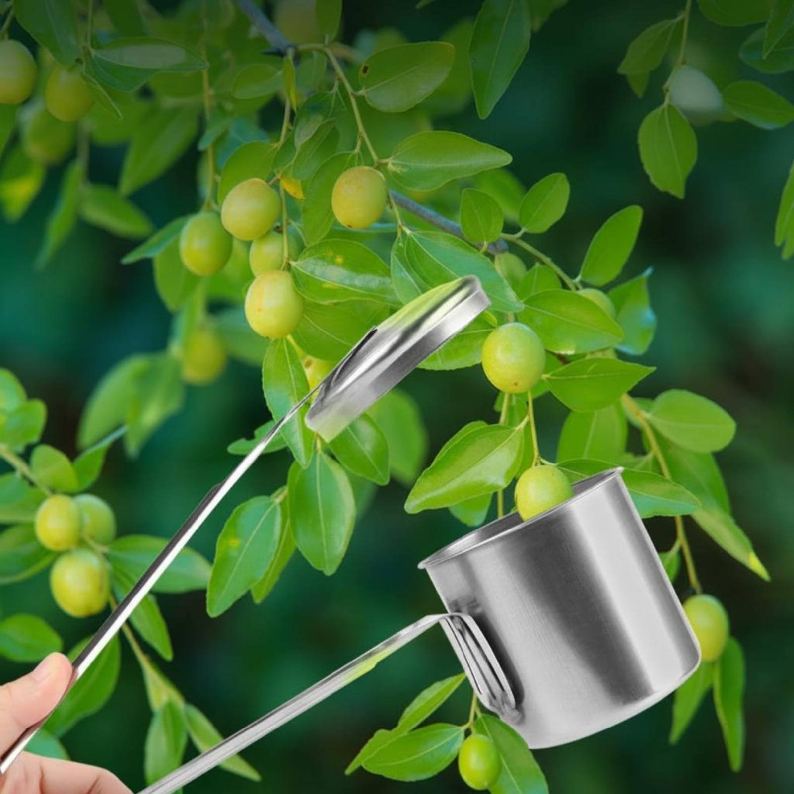 Gardening Tools Uses - Cup Fruit Picker Stainless Steel Fruit-Picking