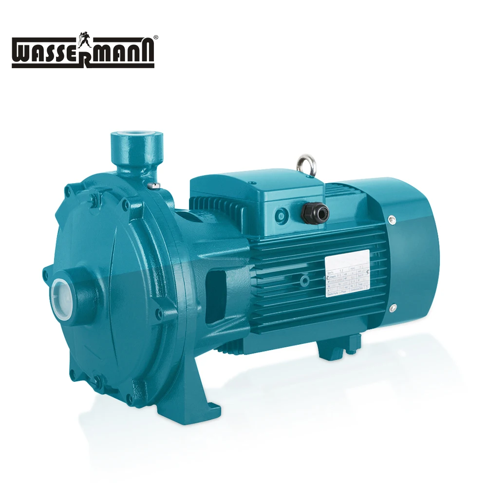 Brand Names Centrifugal 15hp H - огляд і ціна Gardening Tools Names