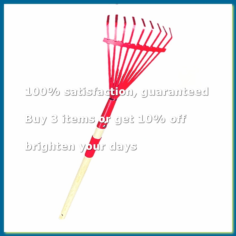 Children'S Rake with Hardwood  - огляд і ціна Gardening Tools For 3 Year Old