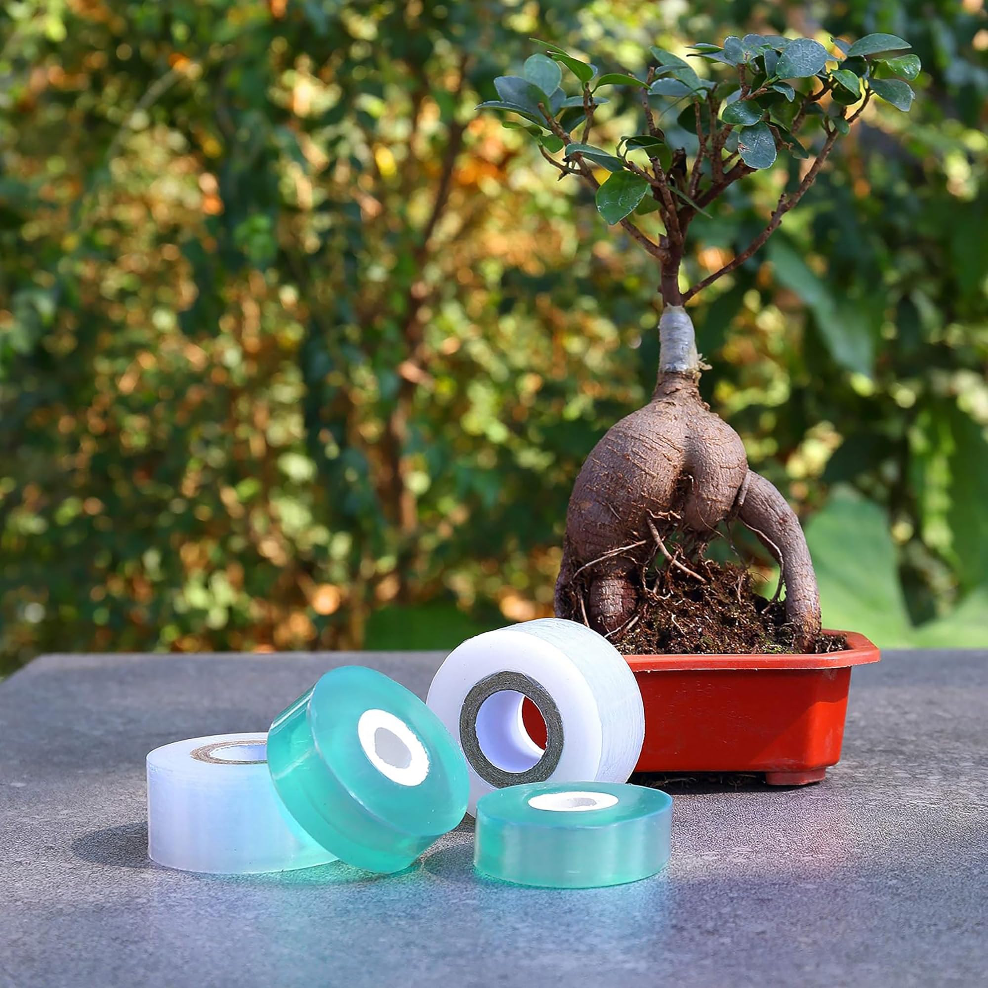 Easy Use Biodegradable Self Ad - огляд і ціна Gardening Tools Uses