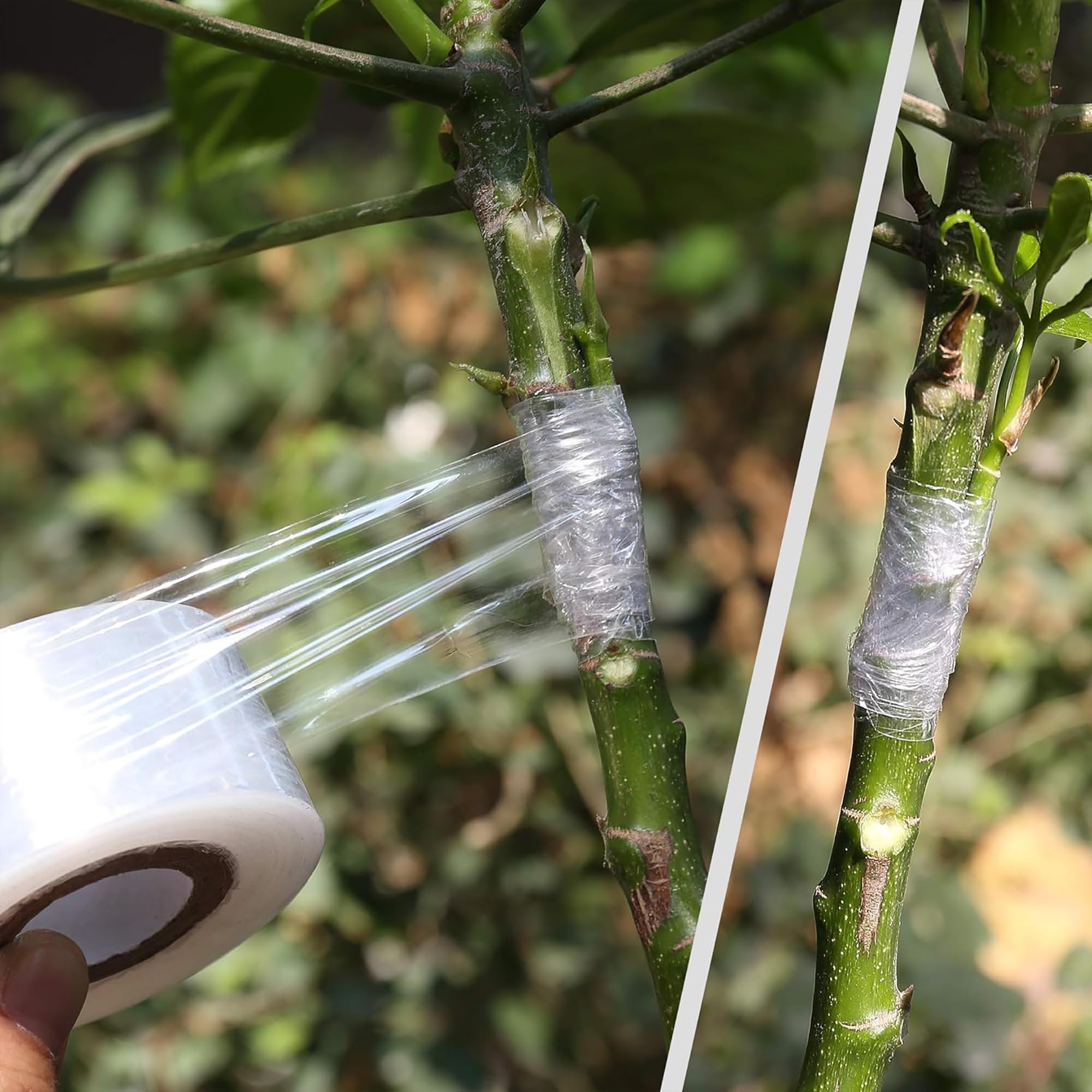 Easy Use Biodegradable Self Ad - огляд і ціна Gardening Tools Uses