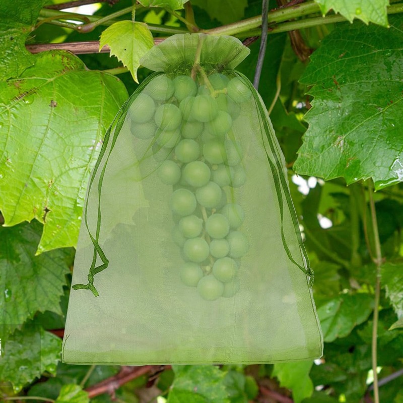Wholesale Fruit Protection Bag - огляд і ціна Gardening Tools Store
