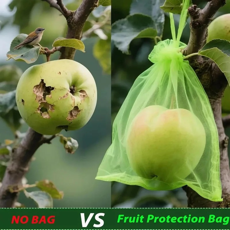 Wholesale Fruit Protection Bag - огляд і ціна Gardening Tools Store