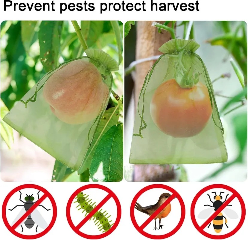 Wholesale Fruit Protection Bag - огляд і ціна Gardening Tools Store