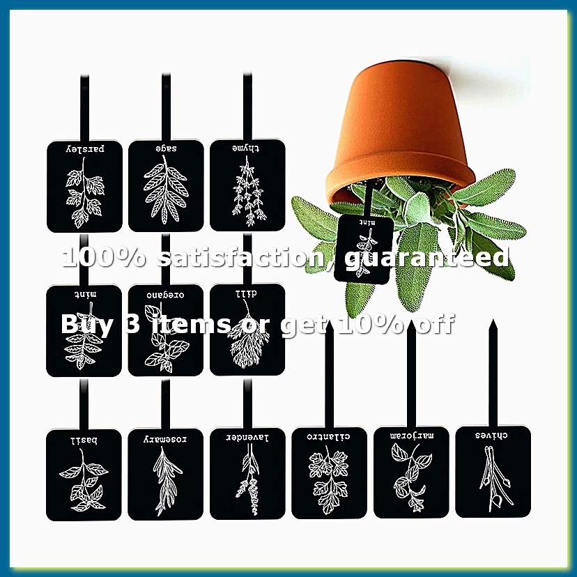 24Pcs Acrylic Plant Label Sign - огляд і ціна Gardening Tools Names