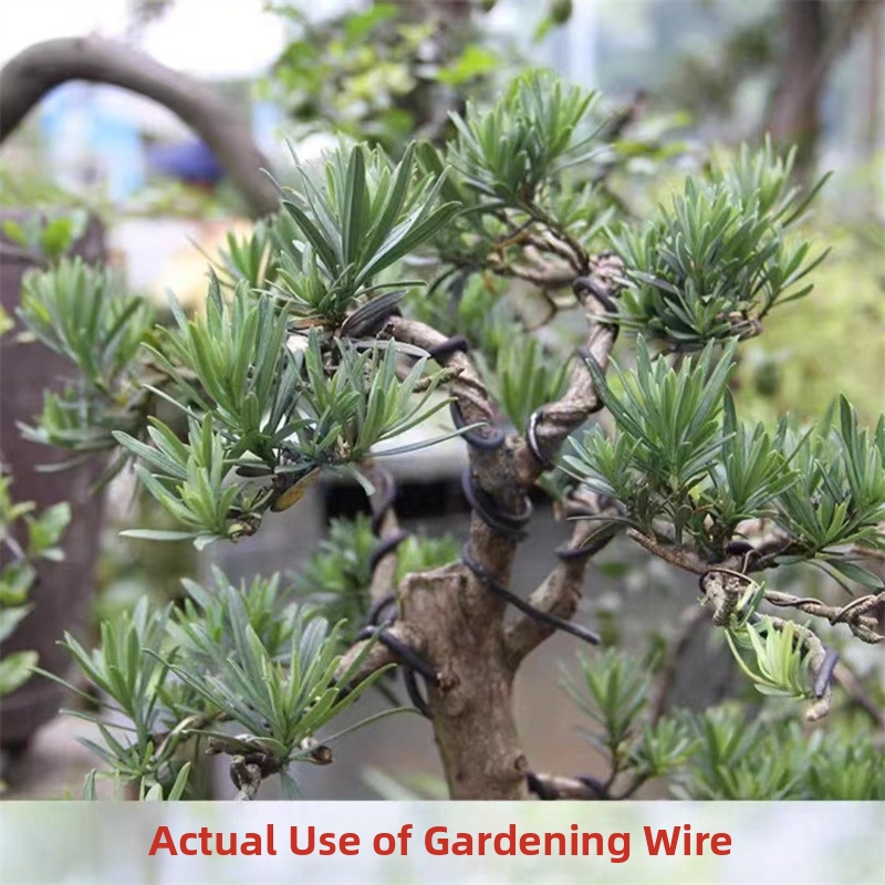 1.5MM Bonsai Wires Aluminum Bo - огляд і ціна Gardening Tools Diy