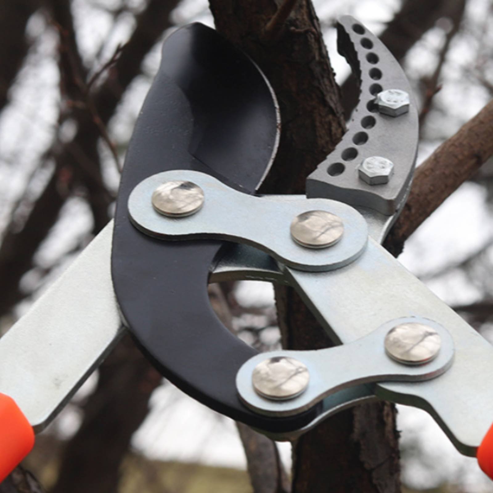 Telescopic Branch Pruners Shar - огляд і ціна Gardening Tools In