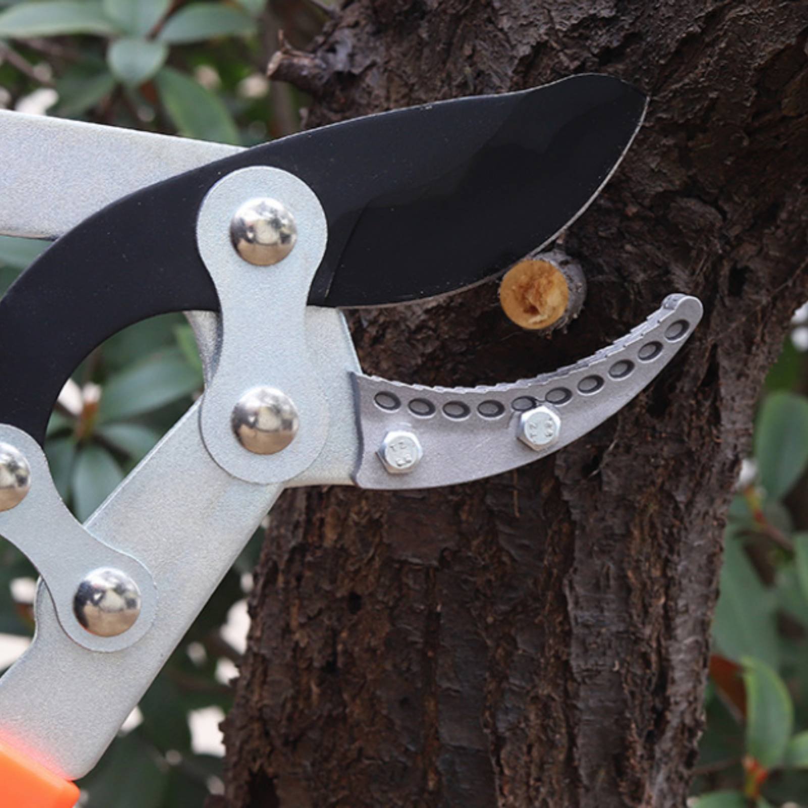 Telescopic Branch Pruners Shar - огляд і ціна Gardening Tools In