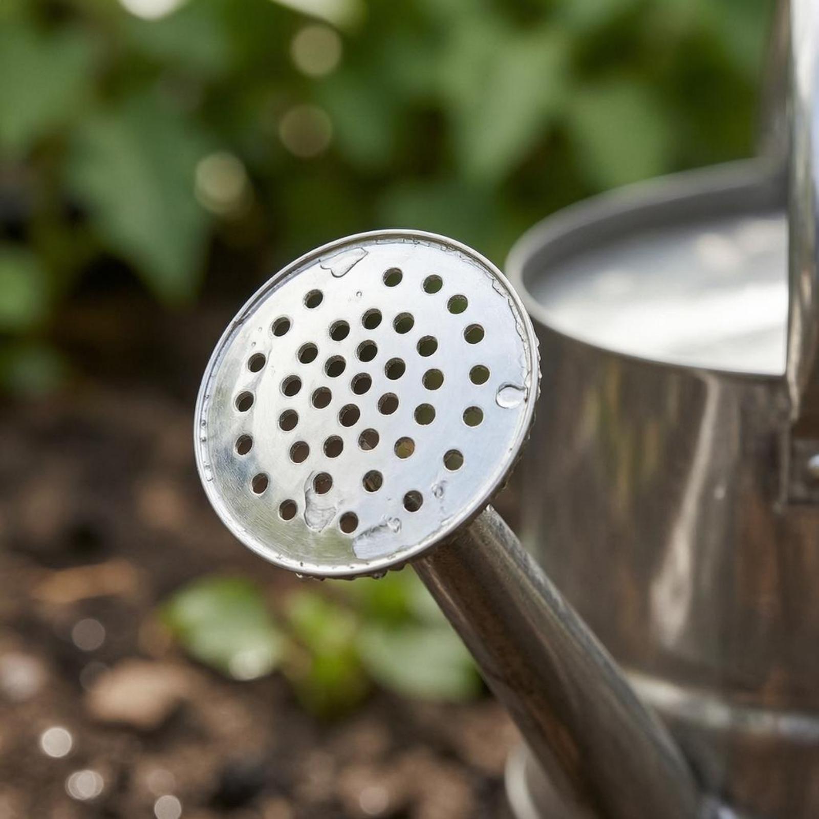 Garden Flower Watering Can Sta - огляд і ціна Gardening Tools Long