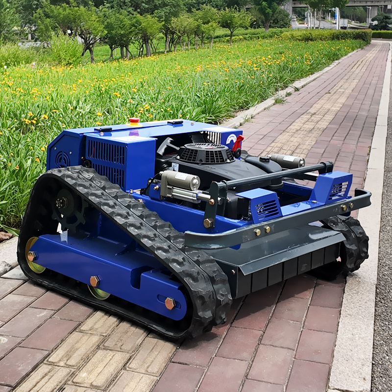 Customised CE EPA Certified Sm - огляд і ціна Gardening Tools Lawn Mower