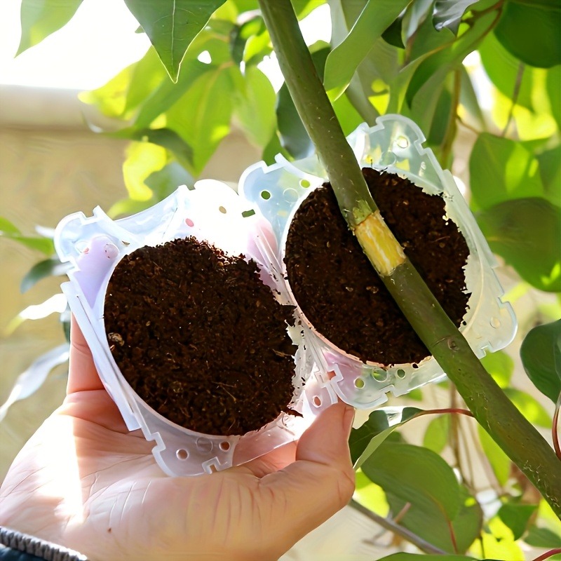 10Pcs High Pressure Plant Root - огляд і ціна Gardening Tools Uses