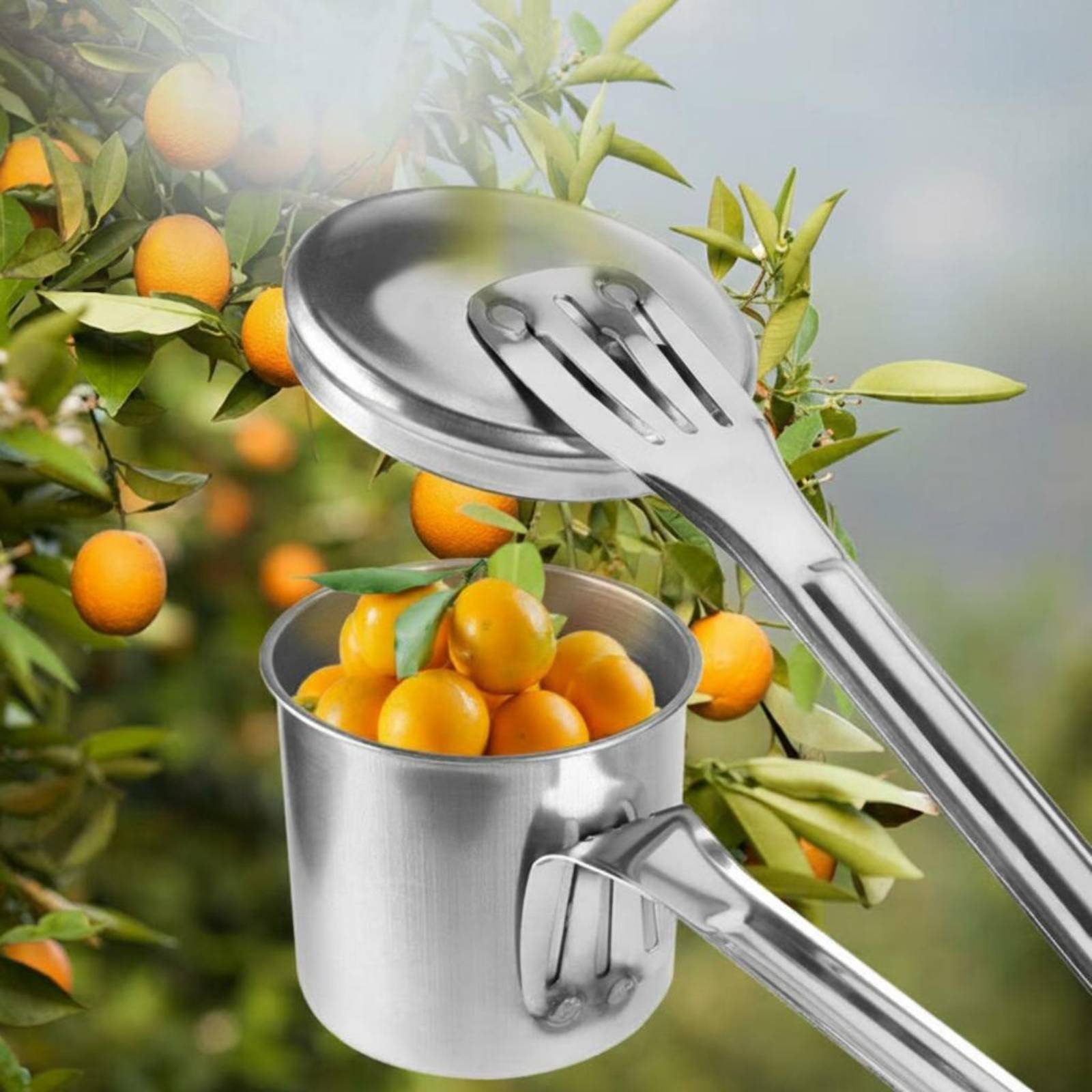 Cup Fruit Picker Stainless Ste - огляд і ціна Gardening Tools Uses
