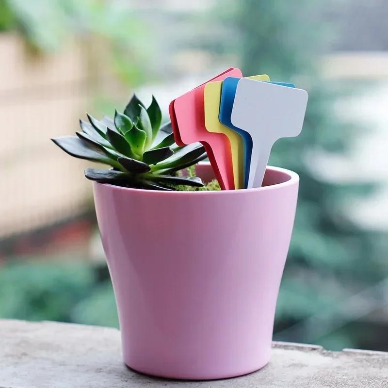 20 Pcs Plastic Waterproof Plan - огляд і ціна Gardening Tools Names
