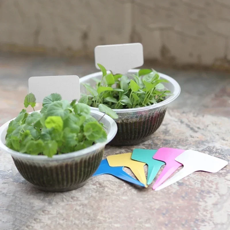 20 Pcs Plastic Waterproof Plan - огляд і ціна Gardening Tools Names