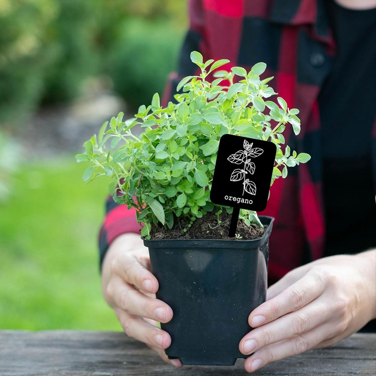 AA14 24Pcs Acrylic Plant Label - огляд і ціна Gardening Tools Names
