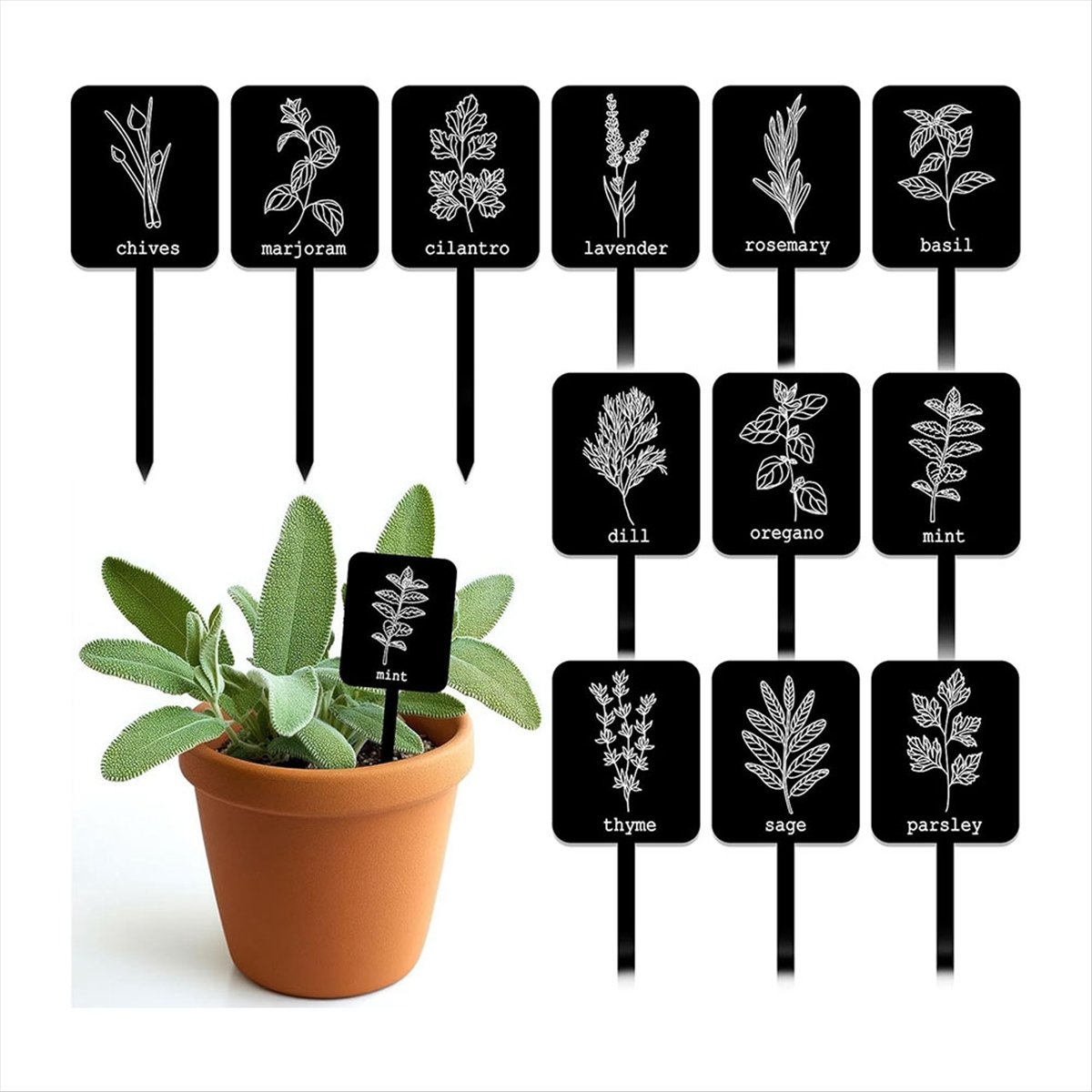 AA14 24Pcs Acrylic Plant Label - огляд і ціна Gardening Tools Names