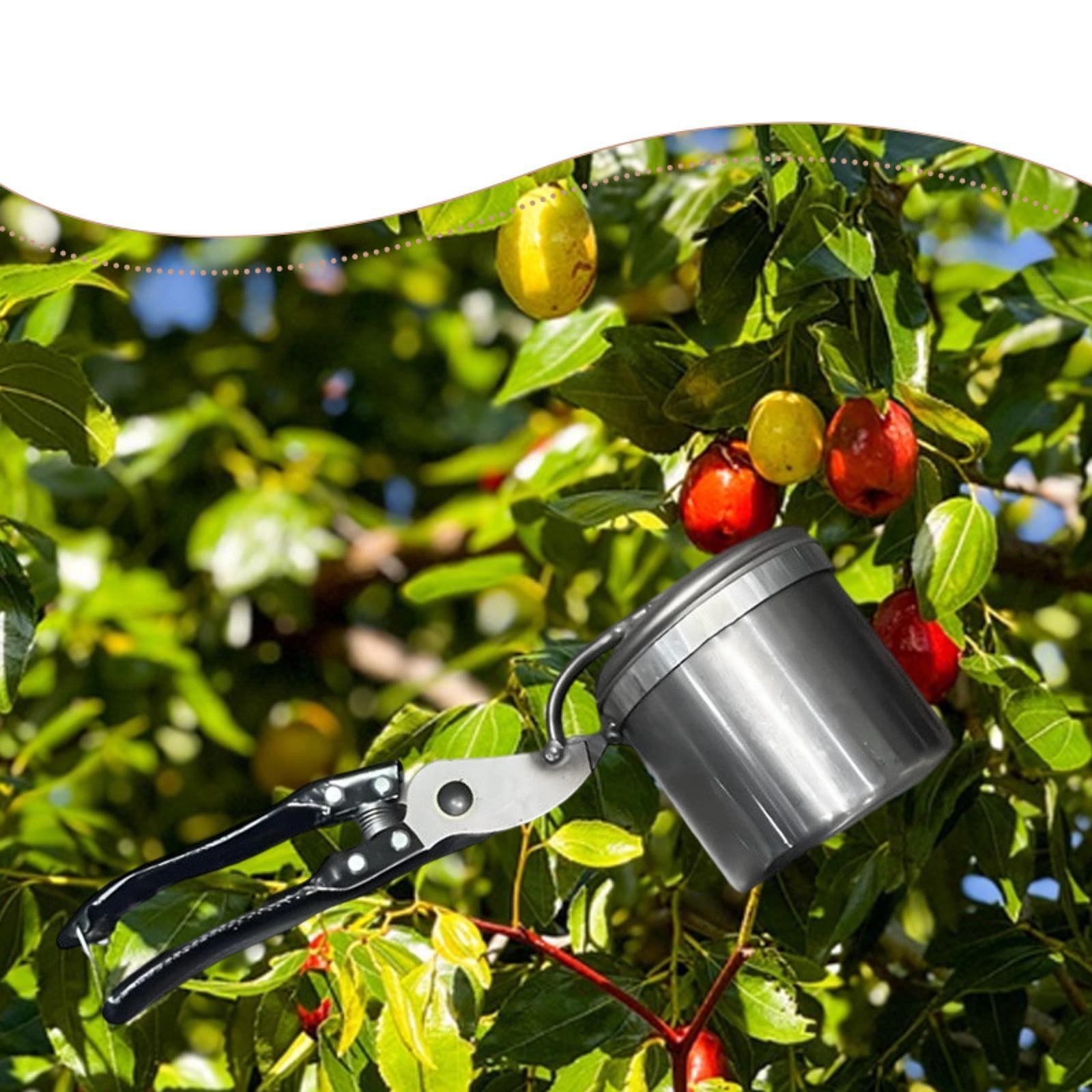 Fruit Picker, Easy to Use Port - огляд і ціна Gardening Tools Uses