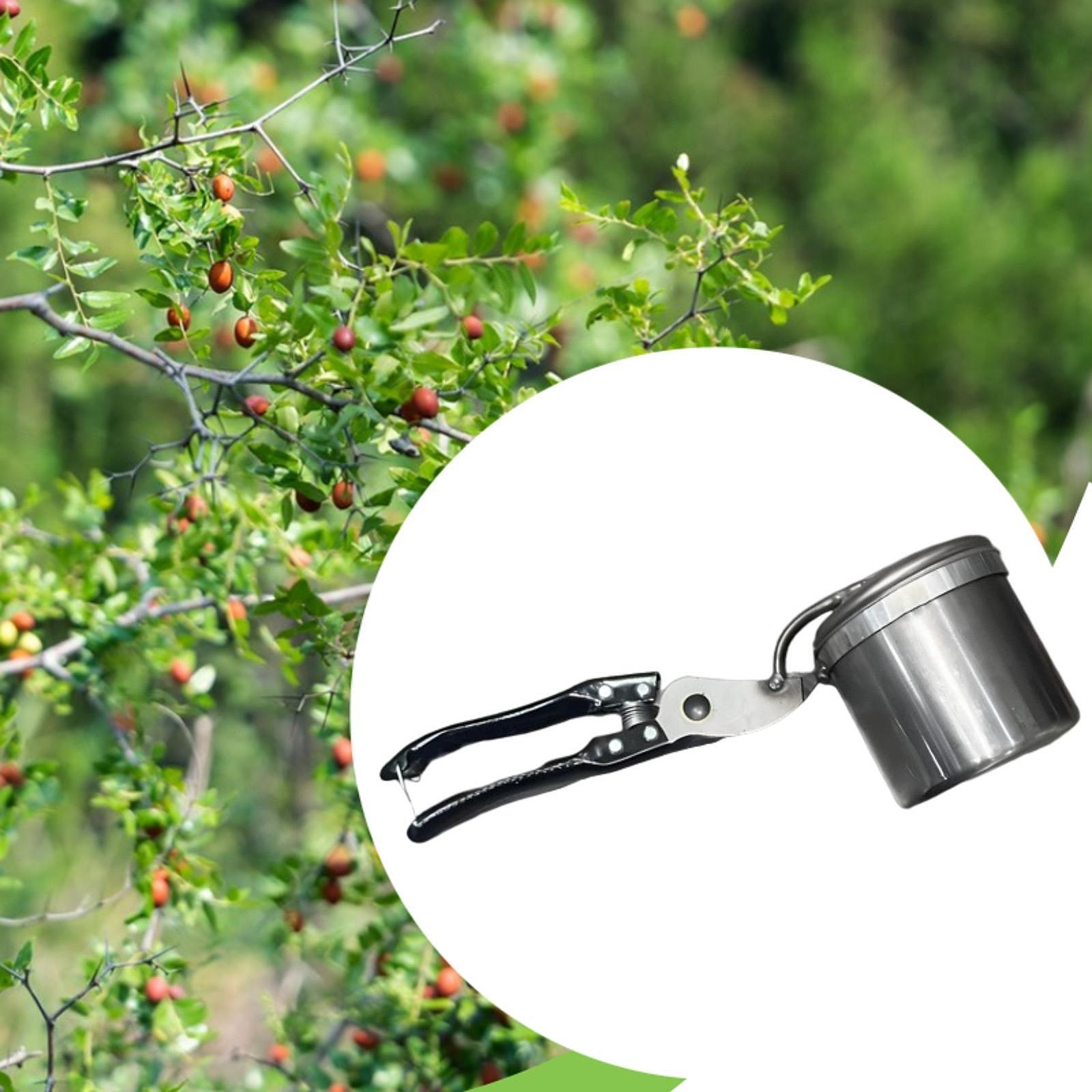 Fruit Picker, Easy to Use Port - огляд і ціна Gardening Tools Uses