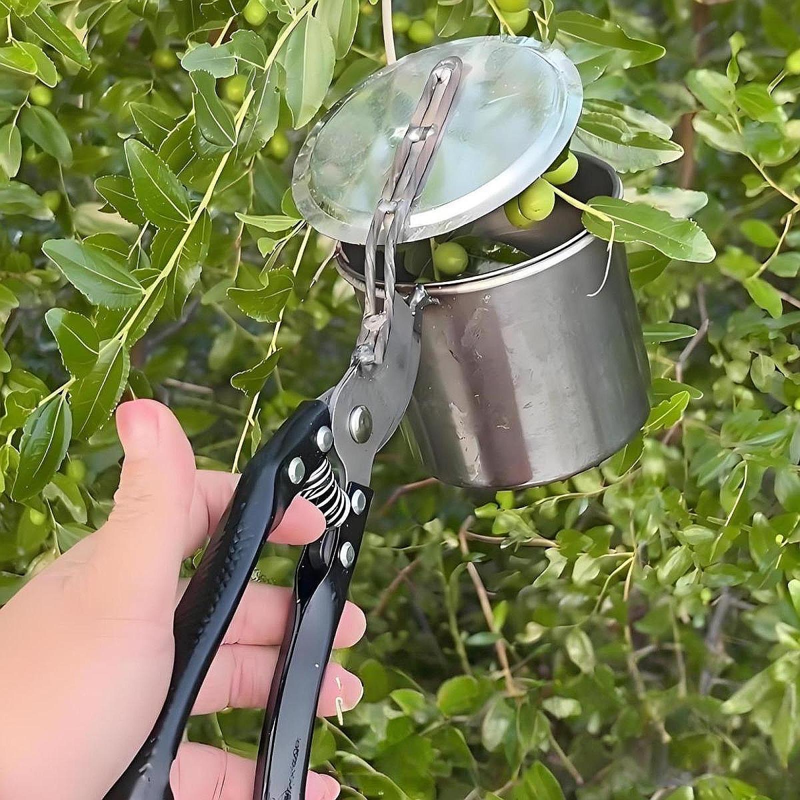 Fruit Picker, Easy to Use Port - огляд і ціна Gardening Tools Uses